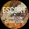 Cameleon Chameleon [Jacket]
