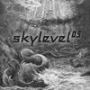 Skylevel 05 [Jacket]
