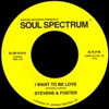 I Want To Be Love / What Would I Have [Jacket]