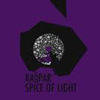 Spice Of Light EP [Jacket]
