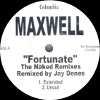 Fortunate (The Naked Remixes) [Jacket]