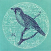 Peace Bird EP [Jacket]